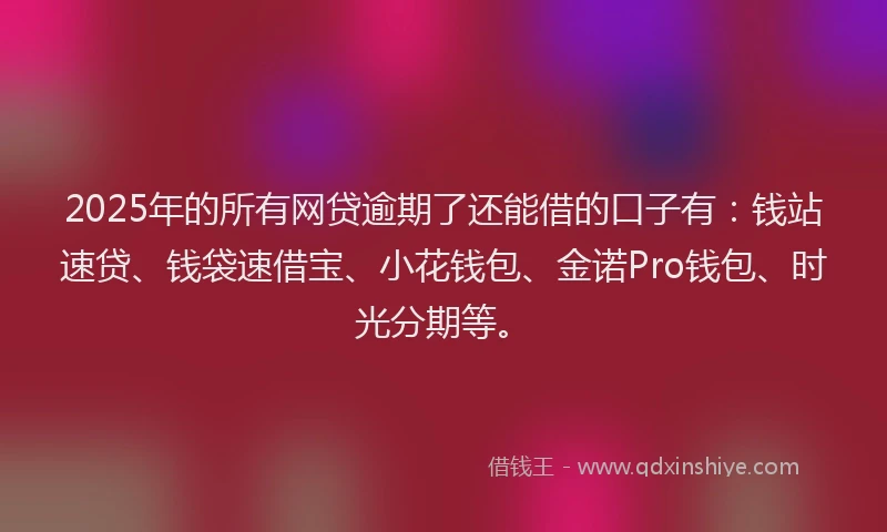 2025年的所有网贷逾期了还能借的口子有：钱站速贷、钱袋速借宝、小花钱包、金诺Pro钱包、时光分期等。