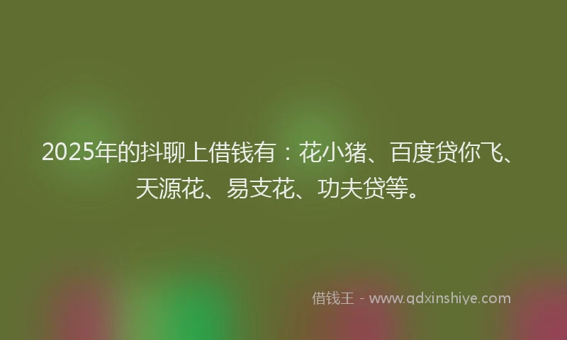 2025年的抖聊上借钱有：花小猪、百度贷你飞、天源花、易支花、功夫贷等。