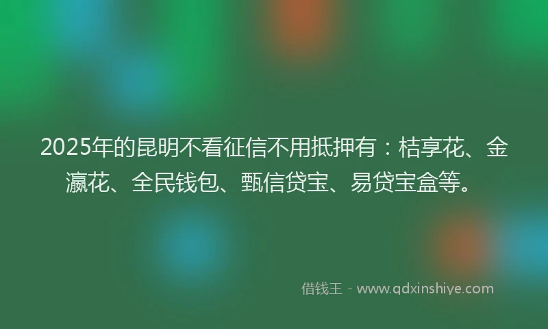 2025年的昆明不看征信不用抵押有：桔享花、金瀛花、全民钱包、甄信贷宝、易贷宝盒等。
