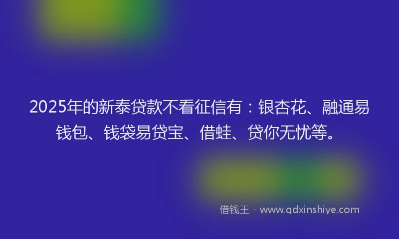 2025年的新泰贷款不看征信有：银杏花、融通易钱包、钱袋易贷宝、借蛙、贷你无忧等。