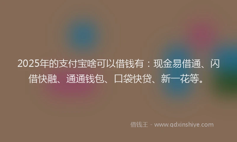 2025年的支付宝啥可以借钱有：现金易借通、闪借快融、通通钱包、口袋快贷、新一花等。