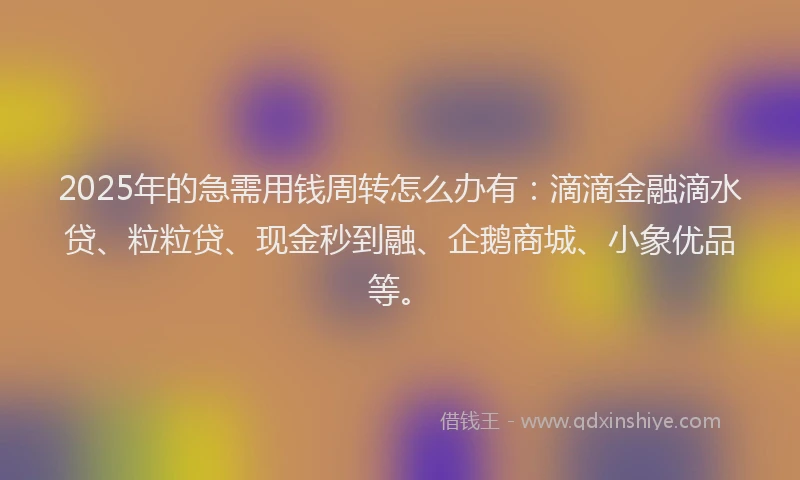 2025年的急需用钱周转怎么办有：滴滴金融滴水贷、粒粒贷、现金秒到融、企鹅商城、小象优品等。