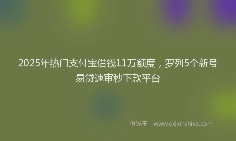 2025年热门支付宝借钱11万额度，罗列5个新号易贷速审秒下款平台