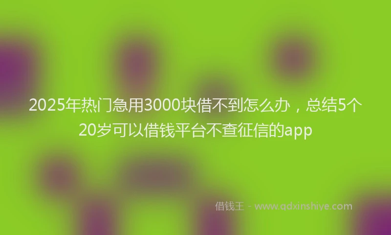 2025年热门急用3000块借不到怎么办，总结5个20岁可以借钱平台不查征信的app
