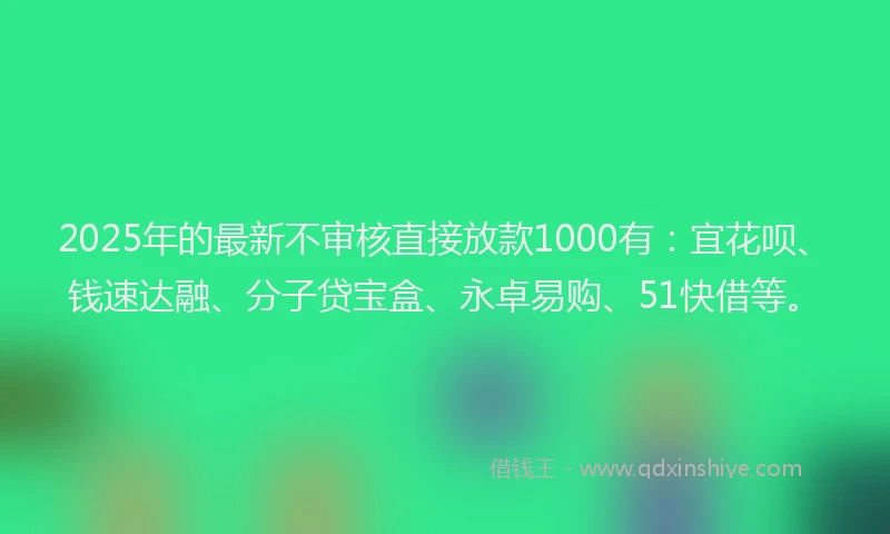 2025年的最新不审核直接放款1000有：宜花呗、钱速达融、分子贷宝盒、永卓易购、51快借等。