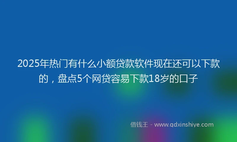 2025年热门有什么小额贷款软件现在还可以下款的，盘点5个网贷容易下款18岁的口子