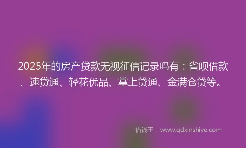 2025年的房产贷款无视征信记录吗有：省呗借款、速贷通、轻花优品、掌上贷通、金满仓贷等。