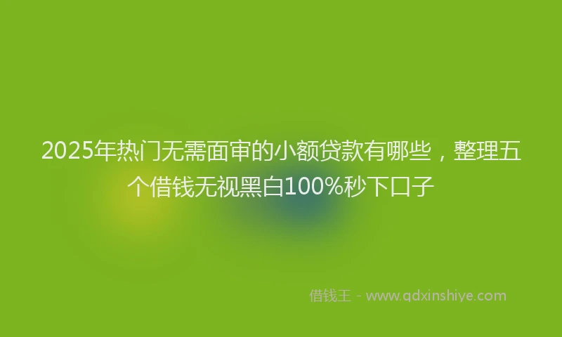 2025年热门无需面审的小额贷款有哪些，整理五个借钱无视黑白100%秒下口子