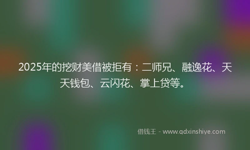 2025年的挖财美借被拒有：二师兄、融逸花、天天钱包、云闪花、掌上贷等。