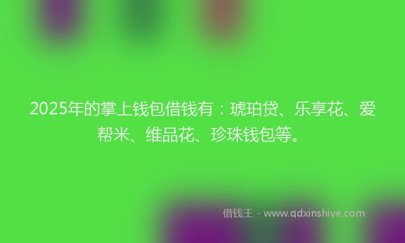 2025年的掌上钱包借钱有：琥珀贷、乐享花、爱帮米、维品花、珍珠钱包等。