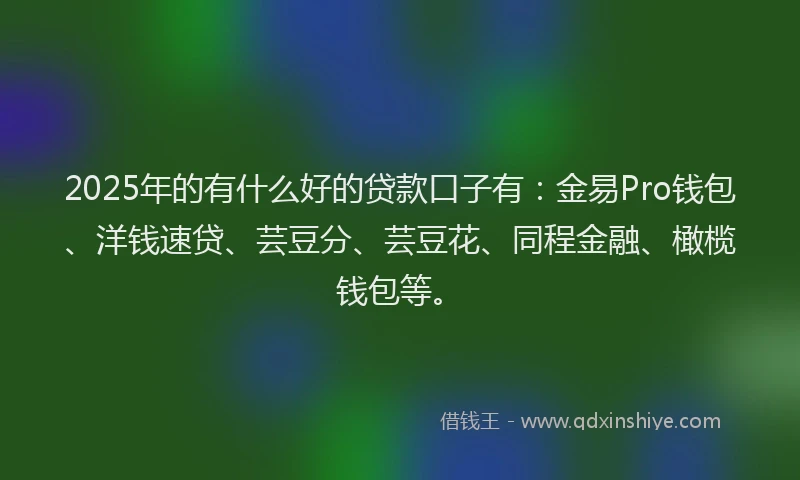 2025年的有什么好的贷款口子有：金易Pro钱包、洋钱速贷、芸豆分、芸豆花、同程金融、橄榄钱包等。