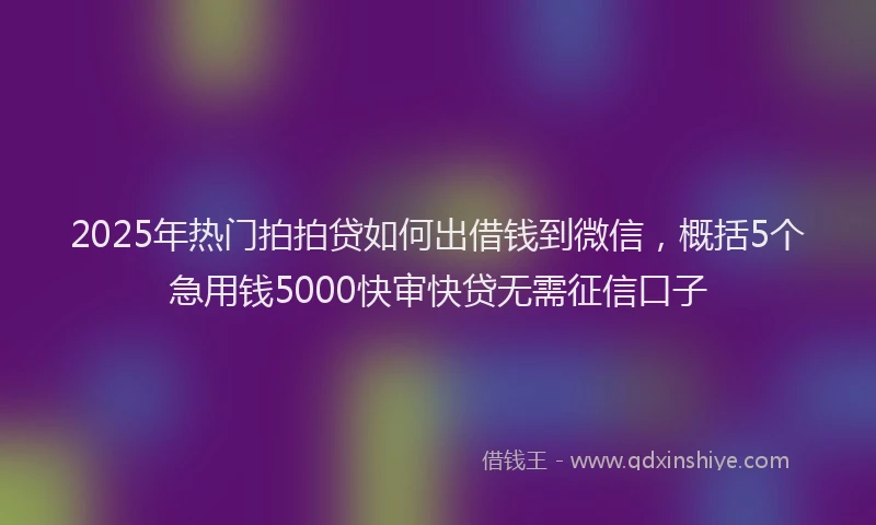 2025年热门拍拍贷如何出借钱到微信，概括5个急用钱5000快审快贷无需征信口子