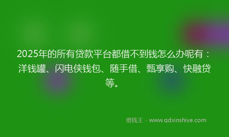 2025年的所有贷款平台都借不到钱怎么办呢有：洋钱罐、闪电侠钱包、随手借、甄享购、快融贷等。