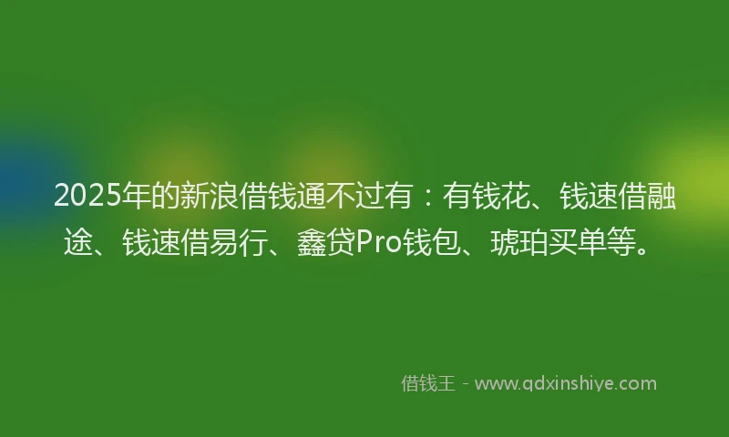 2025年的新浪借钱通不过有：有钱花、钱速借融途、钱速借易行、鑫贷Pro钱包、琥珀买单等。