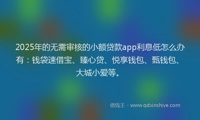 2025年的无需审核的小额贷款app利息低怎么办有：钱袋速借宝、臻心贷、悦享钱包、甄钱包、大城小爱等。