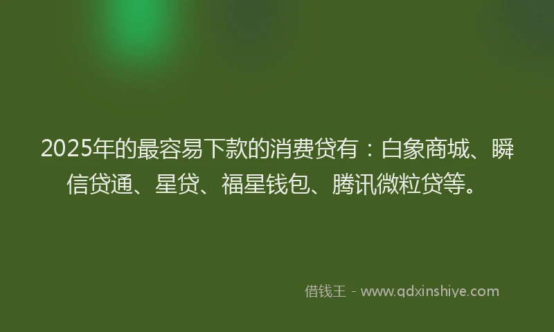 2025年的最容易下款的消费贷有：白象商城、瞬信贷通、星贷、福星钱包、腾讯微粒贷等。