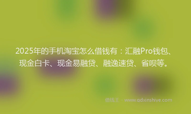 2025年的手机淘宝怎么借钱有：汇融Pro钱包、现金白卡、现金易融贷、融逸速贷、省呗等。