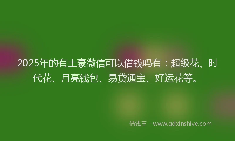 2025年的有土豪微信可以借钱吗有：超级花、时代花、月亮钱包、易贷通宝、好运花等。