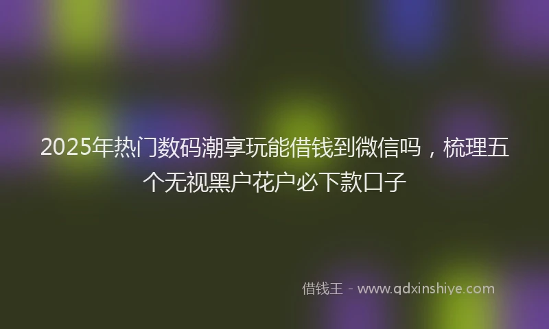2025年热门数码潮享玩能借钱到微信吗，梳理五个无视黑户花户必下款口子