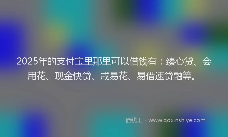 2025年的支付宝里那里可以借钱有：臻心贷、会用花、现金快贷、戒易花、易借速贷融等。