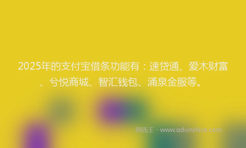 2025年的支付宝借条功能有：速贷通、爱木财富、兮悦商城、智汇钱包、涌泉金服等。