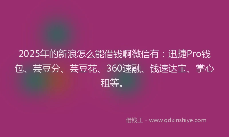 2025年的新浪怎么能借钱啊微信有：迅捷Pro钱包、芸豆分、芸豆花、360速融、钱速达宝、掌心租等。