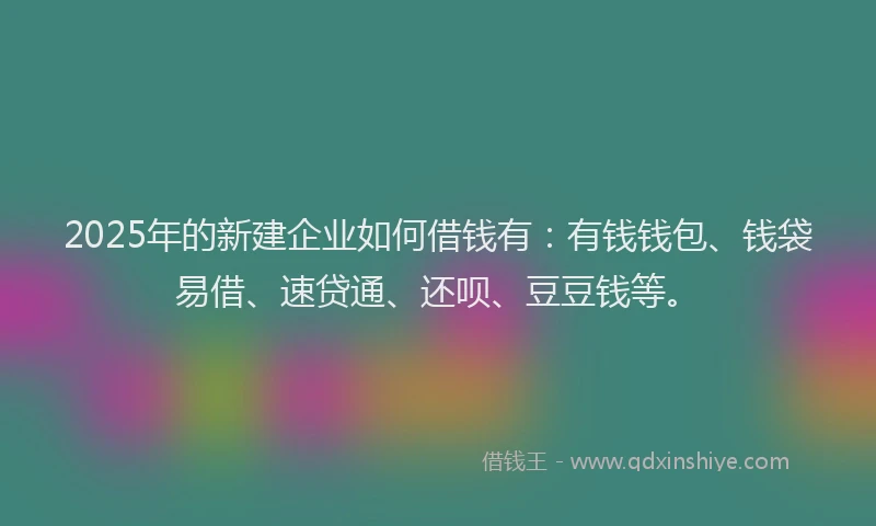2025年的新建企业如何借钱有：有钱钱包、钱袋易借、速贷通、还呗、豆豆钱等。