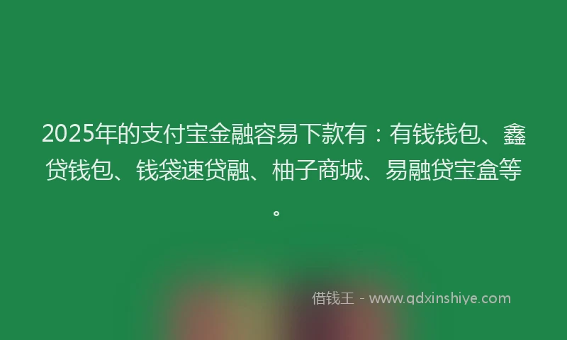 2025年的支付宝金融容易下款有：有钱钱包、鑫贷钱包、钱袋速贷融、柚子商城、易融贷宝盒等。
