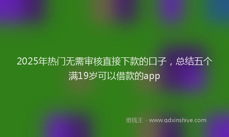 2025年热门无需审核直接下款的口子，总结五个满19岁可以借款的app