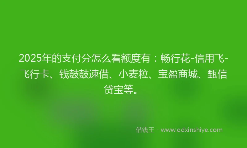 2025年的支付分怎么看额度有：畅行花-信用飞-飞行卡、钱鼓鼓速借、小麦粒、宝盈商城、甄信贷宝等。