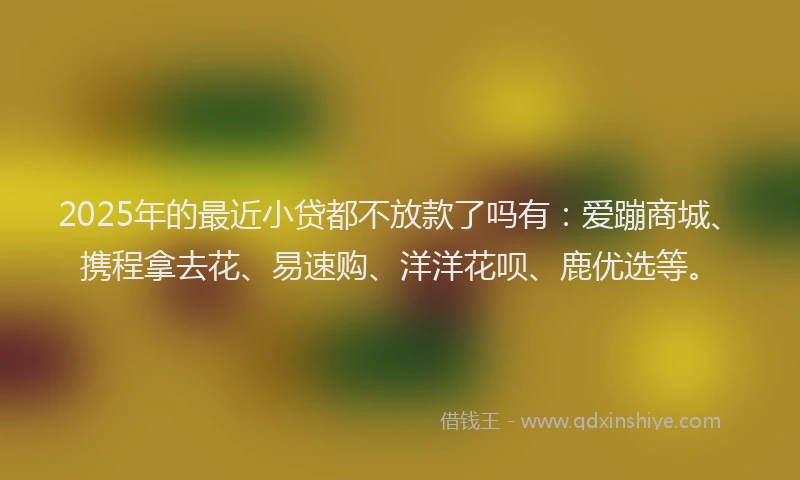 2025年的最近小贷都不放款了吗有：爱蹦商城、携程拿去花、易速购、洋洋花呗、鹿优选等。