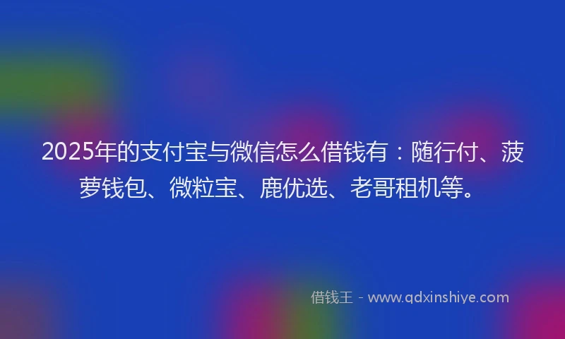 2025年的支付宝与微信怎么借钱有：随行付、菠萝钱包、微粒宝、鹿优选、老哥租机等。