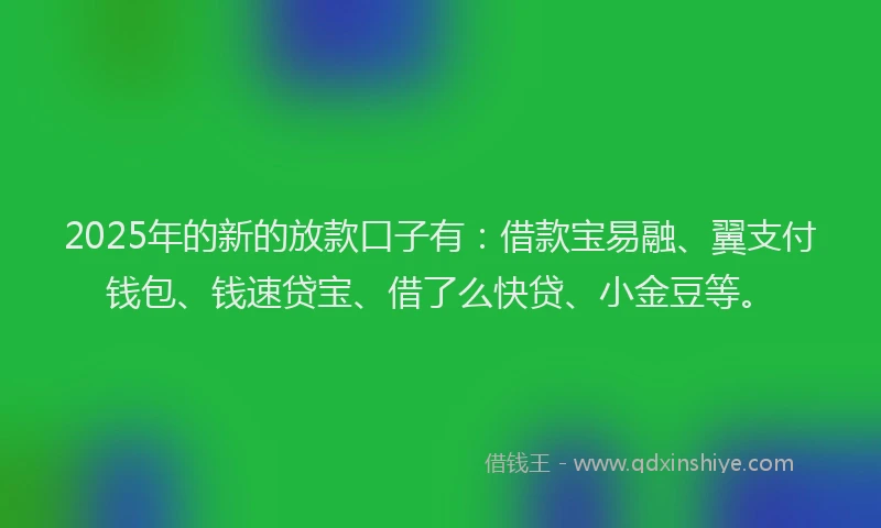 2025年的新的放款口子有：借款宝易融、翼支付钱包、钱速贷宝、借了么快贷、小金豆等。