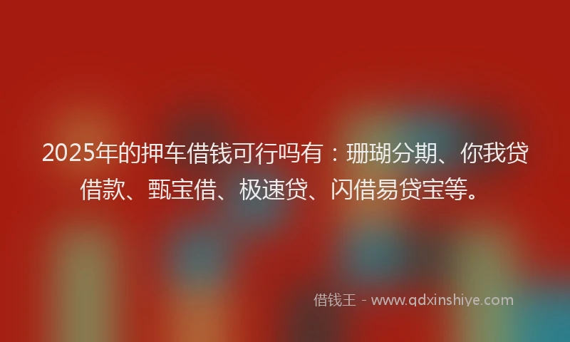 2025年的押车借钱可行吗有：珊瑚分期、你我贷借款、甄宝借、极速贷、闪借易贷宝等。