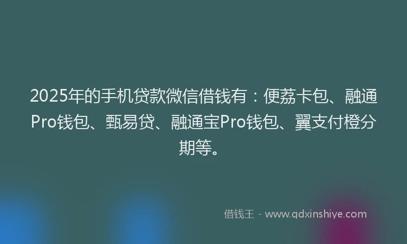 2025年的手机贷款微信借钱有：便荔卡包、融通Pro钱包、甄易贷、融通宝Pro钱包、翼支付橙分期等。