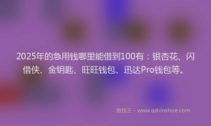 2025年的急用钱哪里能借到100有：银杏花、闪借侠、金钥匙、旺旺钱包、迅达Pro钱包等。