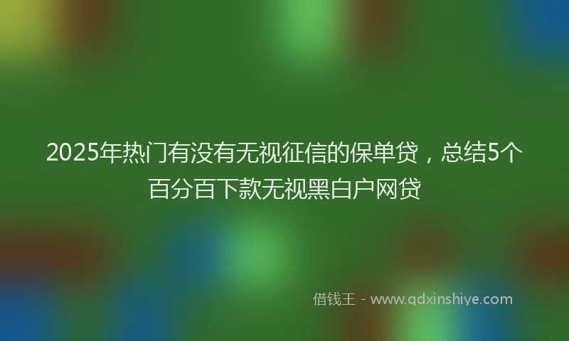 2025年热门有没有无视征信的保单贷，总结5个百分百下款无视黑白户网贷