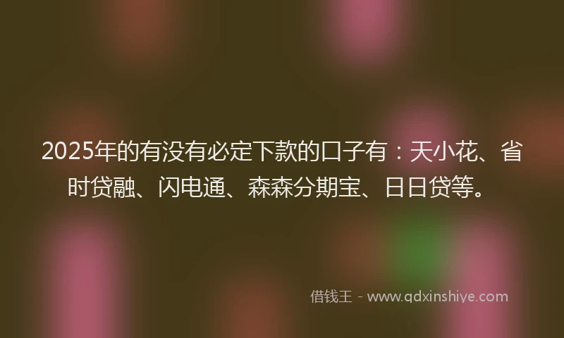 2025年的有没有必定下款的口子有：天小花、省时贷融、闪电通、森森分期宝、日日贷等。