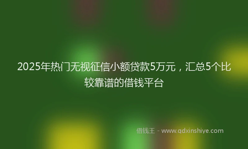 2025年热门无视征信小额贷款5万元，汇总5个比较靠谱的借钱平台