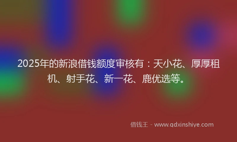 2025年的新浪借钱额度审核有：天小花、厚厚租机、射手花、新一花、鹿优选等。