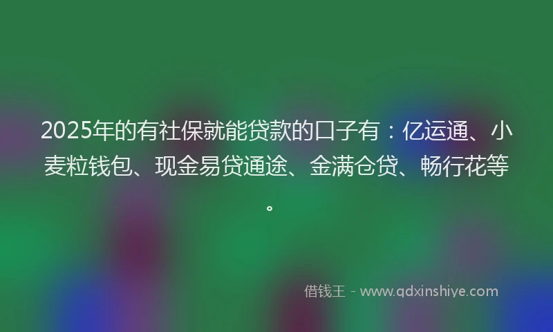 2025年的有社保就能贷款的口子有：亿运通、小麦粒钱包、现金易贷通途、金满仓贷、畅行花等。