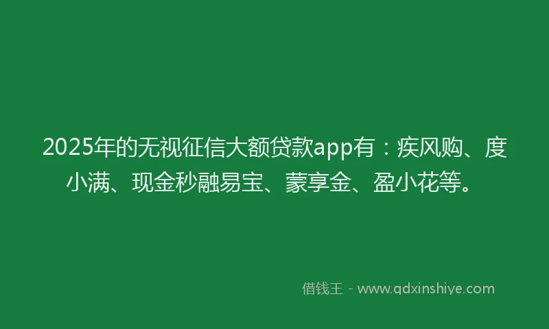 2025年的无视征信大额贷款app有：疾风购、度小满、现金秒融易宝、蒙享金、盈小花等。