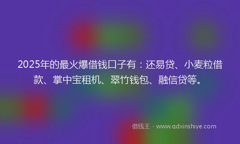 2025年的最火爆借钱口子有：还易贷、小麦粒借款、掌中宝租机、翠竹钱包、融信贷等。