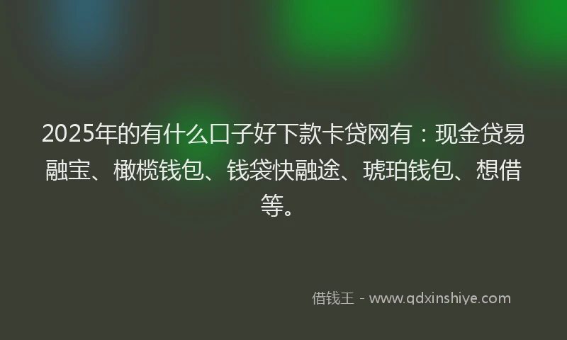 2025年的有什么口子好下款卡贷网有：现金贷易融宝、橄榄钱包、钱袋快融途、琥珀钱包、想借等。
