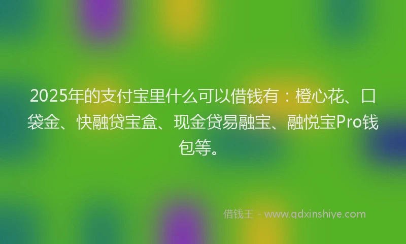 2025年的支付宝里什么可以借钱有：橙心花、口袋金、快融贷宝盒、现金贷易融宝、融悦宝Pro钱包等。