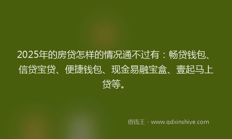 2025年的房贷怎样的情况通不过有：畅贷钱包、信贷宝贷、便捷钱包、现金易融宝盒、壹起马上贷等。
