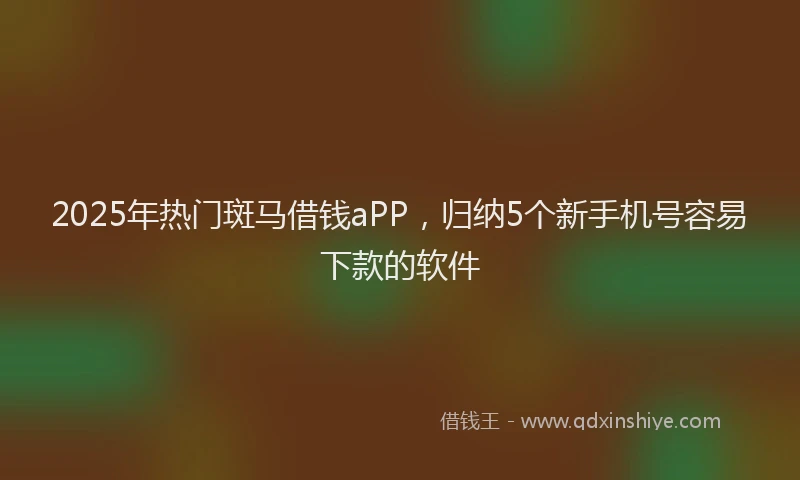 2025年热门斑马借钱aPP，归纳5个新手机号容易下款的软件