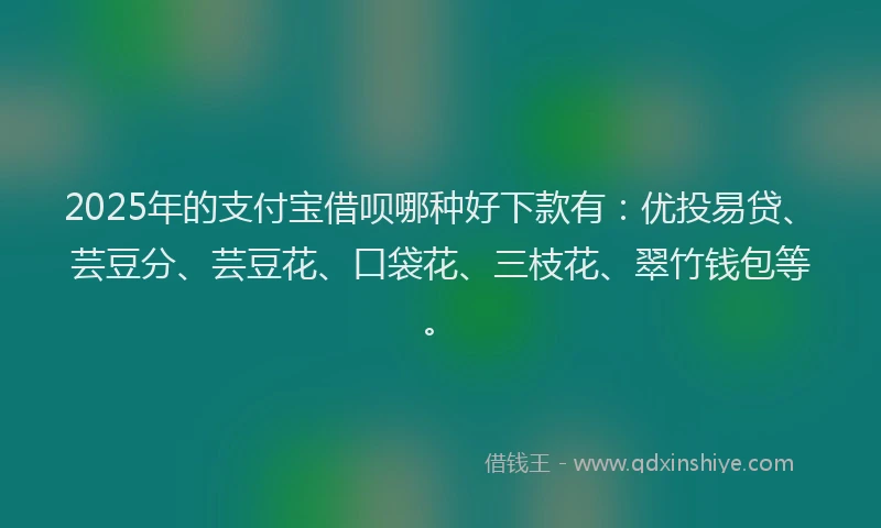 2025年的支付宝借呗哪种好下款有：优投易贷、芸豆分、芸豆花、口袋花、三枝花、翠竹钱包等。