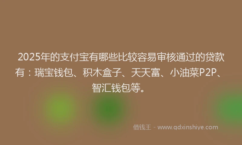 2025年的支付宝有哪些比较容易审核通过的贷款有：瑞宝钱包、积木盒子、天天富、小油菜P2P、智汇钱包等。