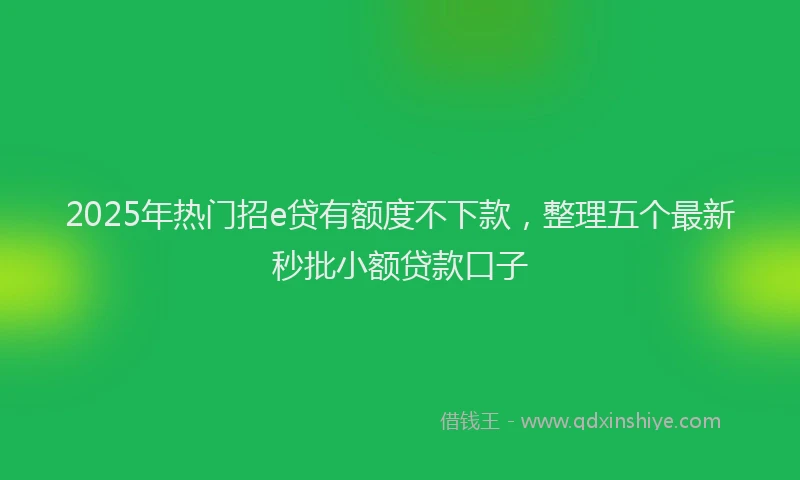 2025年热门招e贷有额度不下款，整理五个最新秒批小额贷款口子